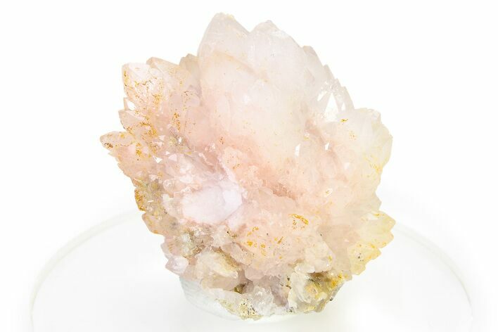 Light Pink Rose Quartz Crystal Cluster - Peru #321369